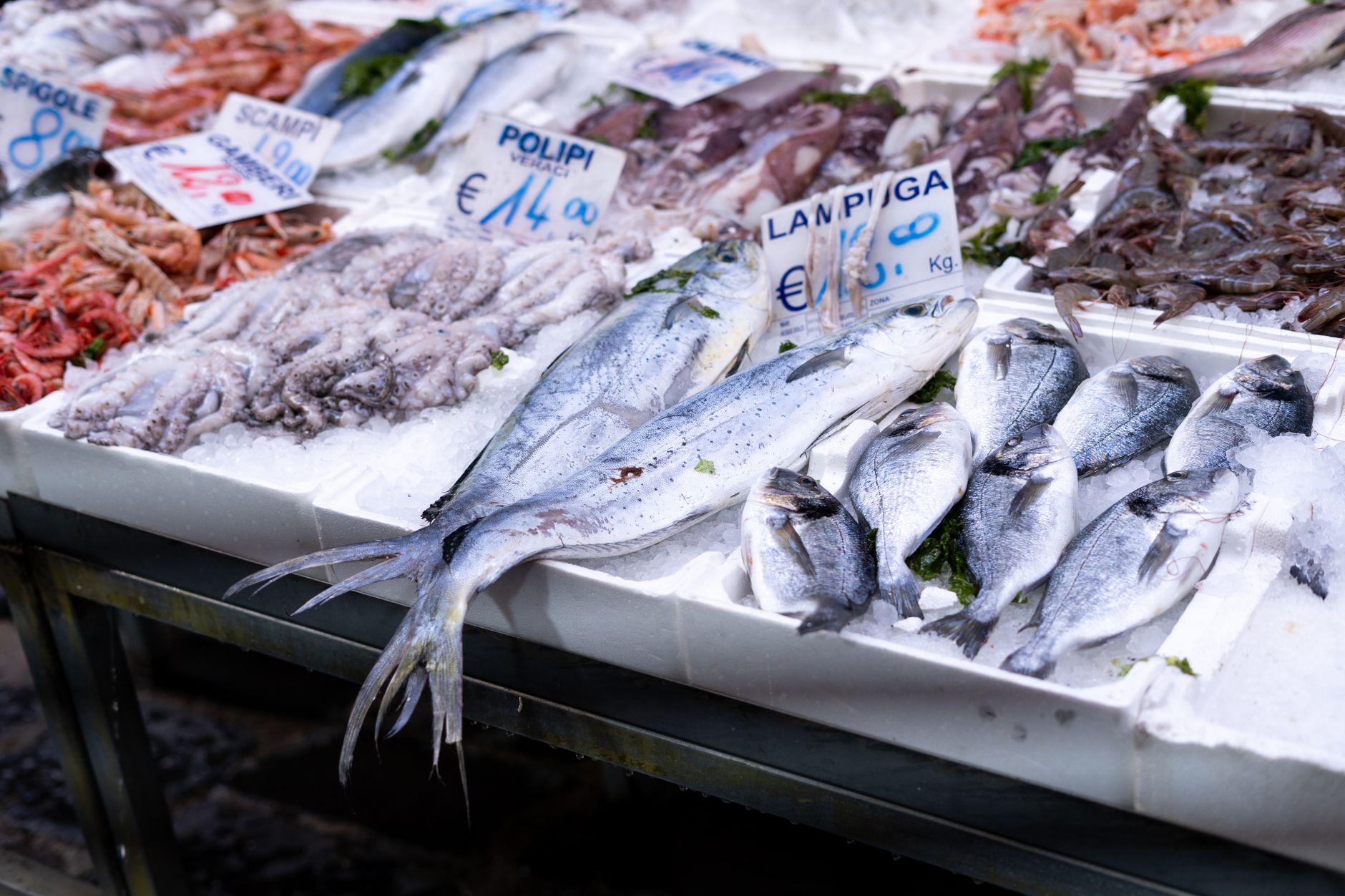 La Pescheria di Catania: guida al mercato del pesce più spettacolare d’Italia