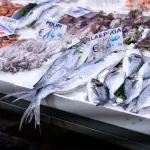 La Pescheria di Catania: guida al mercato del pesce più spettacolare d’Italia