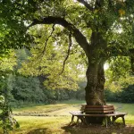 Relazione tra verde e salute ambientale